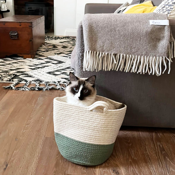Gift basket with cute cat