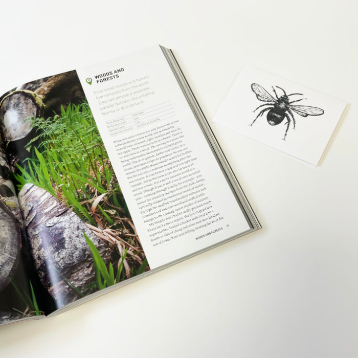 Micro adventures by Alastair Humphreys - outdoors lover gift