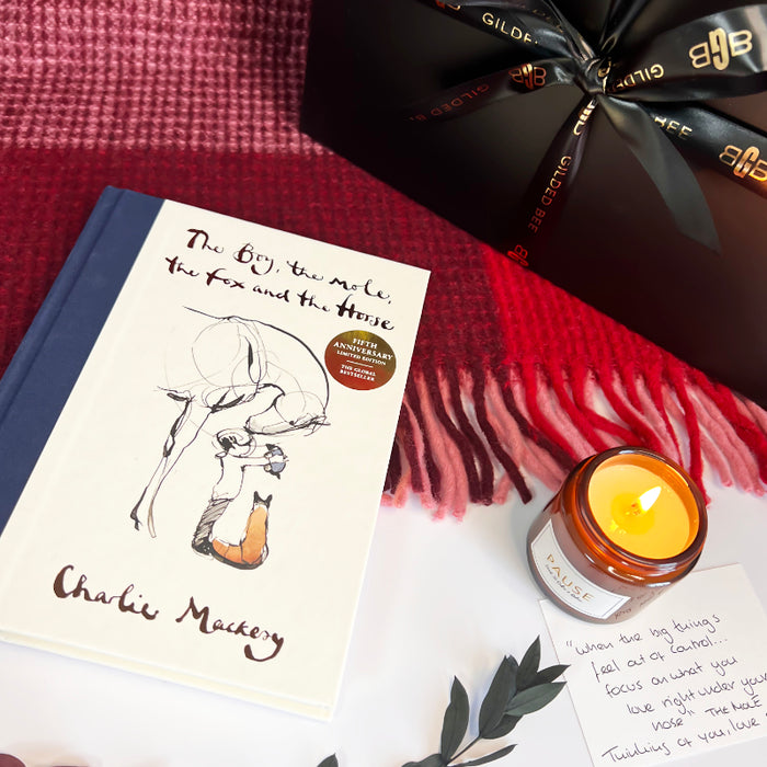 Book titled 'The Boy, the Mole, the Fox and the Horse' by Charlie Mackesy with a candle and burgundy blanket background.