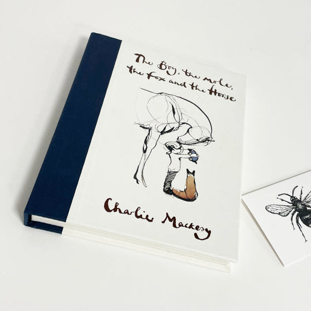 The boy, the mole book on white background with bee gift card