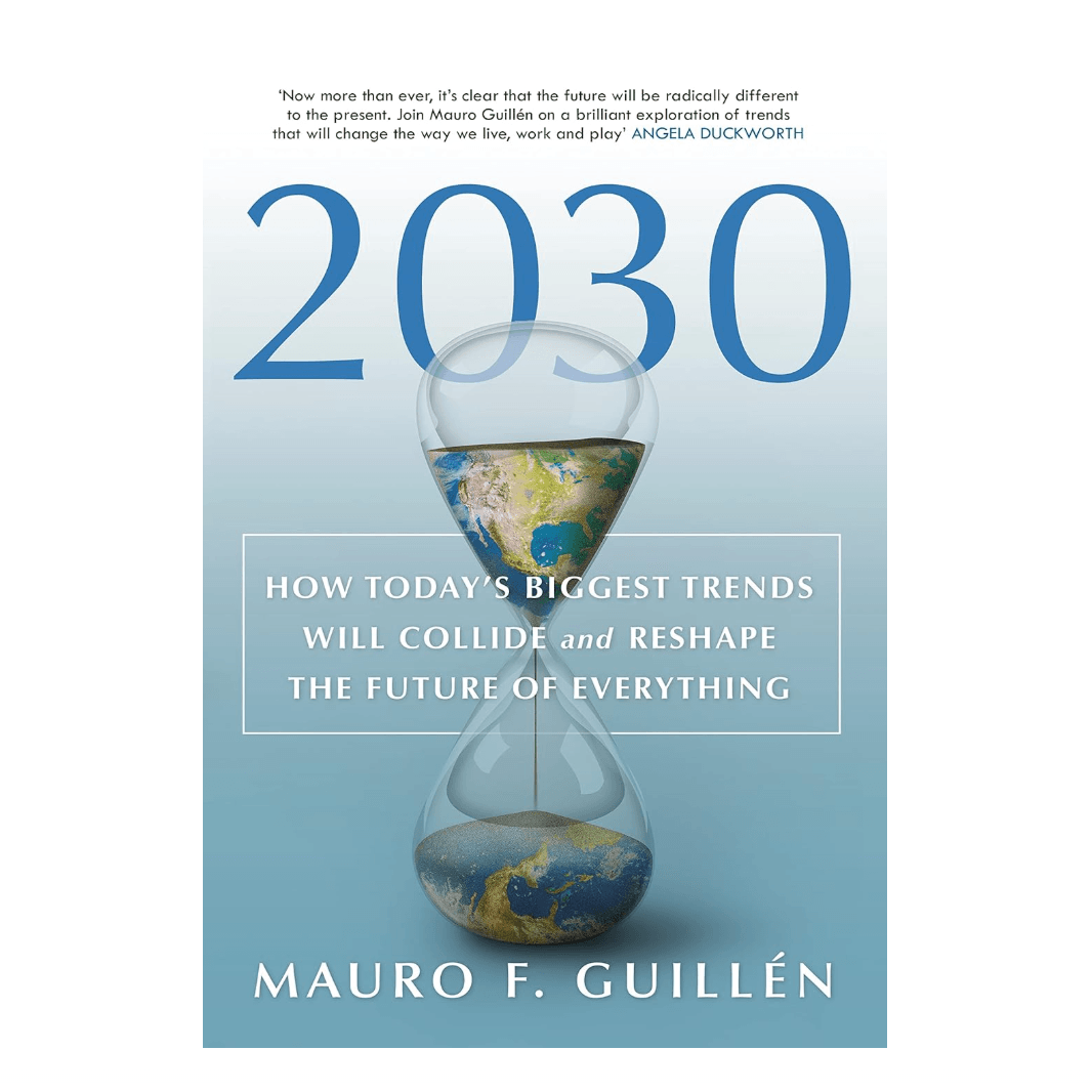 image of 2030 book front cover on white background