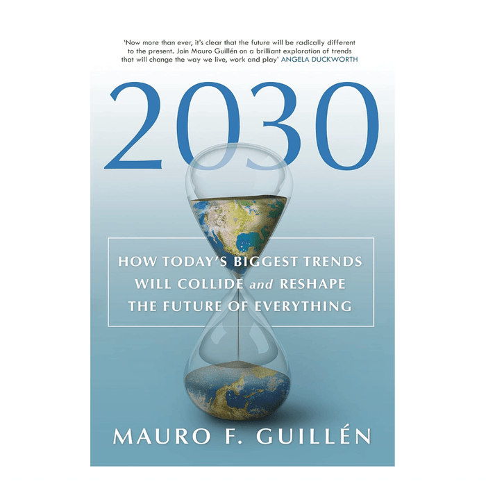 image of 2030 book front cover on white background