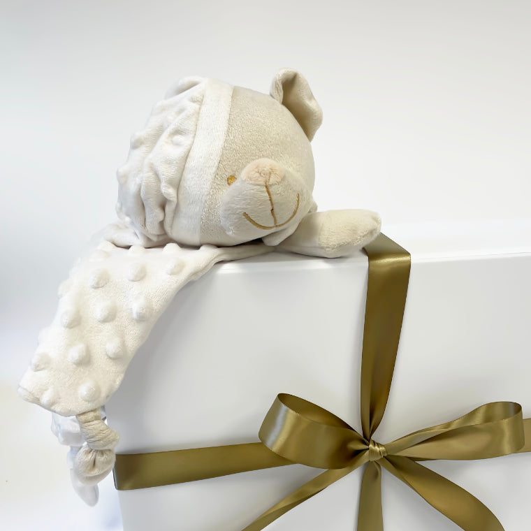 New Baby Gift Set