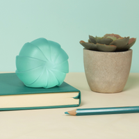 A mint green ribbed spherical object resting on a teal notebook, with a small potted succulent and a teal pencil on a beige surface against a mint green background.