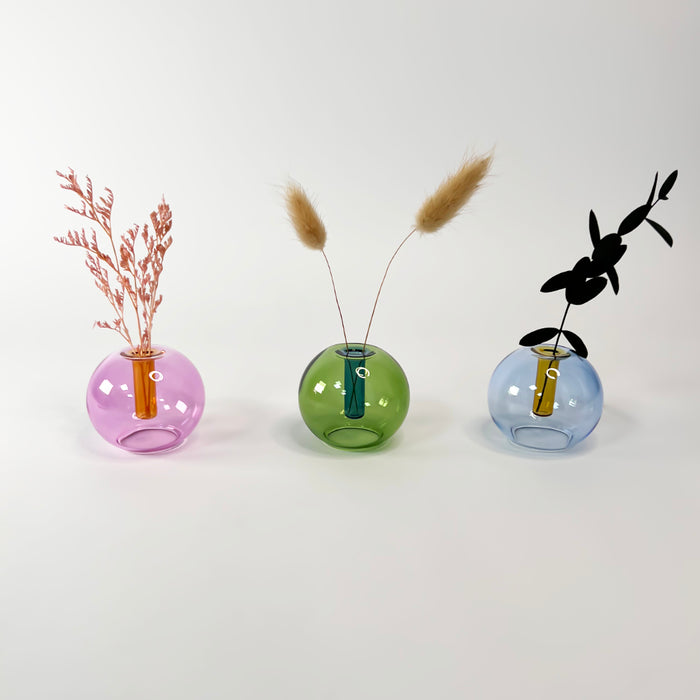 Three round glass vases with dried plants on a white background