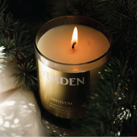Verden Festivum candle lit nestled between ferns