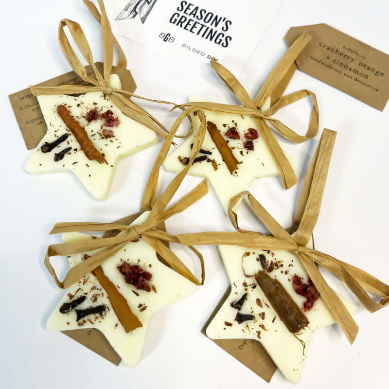 Star-shaped white treats with cinnamon sticks and cranberries, tied with brown ribbons on a white background.