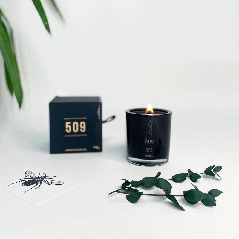 Luxury black candle - wxy Umbra 5oz Candle - 509 - Orchid Rose Jasmine & Clove